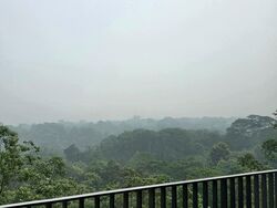 Eco Sanctuary (D23), Condominium #635017951